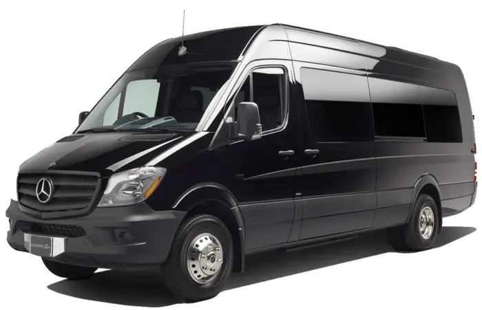12 Passenger Van